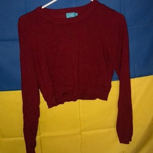 Long sleeve crop top